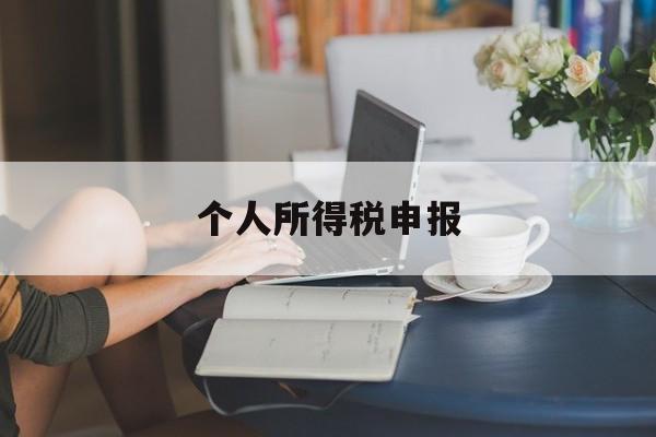 个人所得税申报(个人所得税申报扣缴端下载)